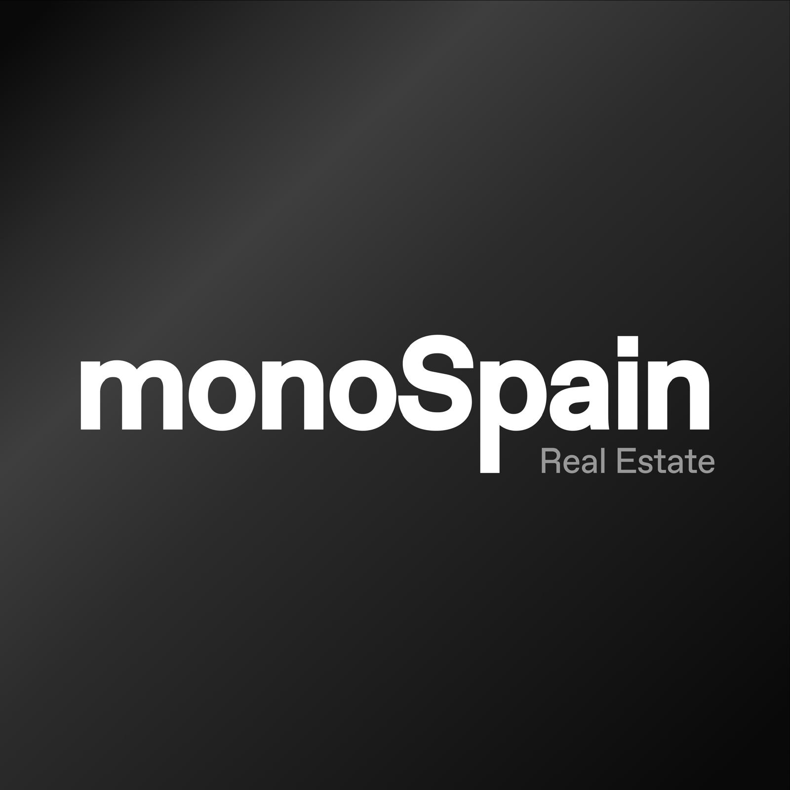Логотип MonoSpain