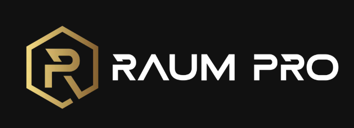 Логотип Raum Pro 369